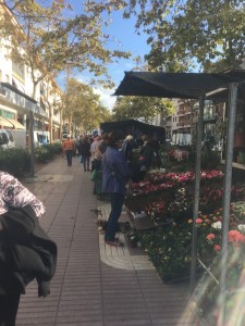 St Pere de Ribas market is small